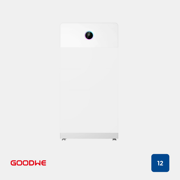 GoodWe, ESA, GW12K-ETA-G20, Wechselrichtermodul