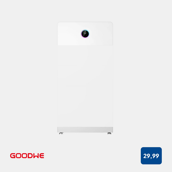 GoodWe, ESA, GW29.999K-ETA-G20, Wechselrichtermodul